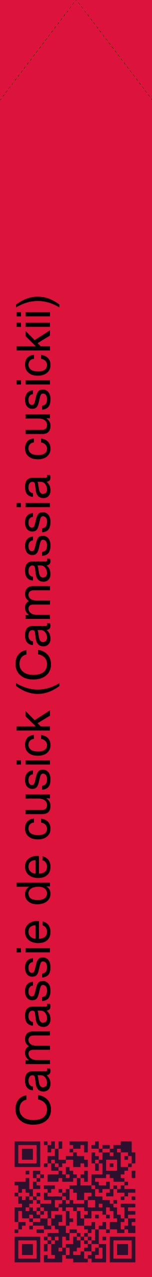 Étiquette de : Camassia cusickii - format c - style noire36_simplehel avec qrcode et comestibilité