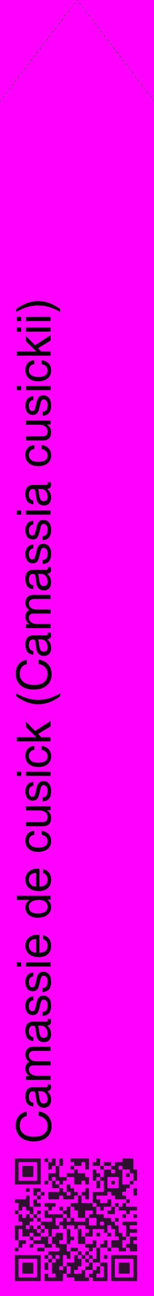 Étiquette de : Camassia cusickii - format c - style noire51_simplehel avec qrcode et comestibilité