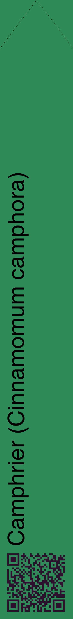 Étiquette de : Cinnamomum camphora - format c - style noire11_simplehel avec qrcode et comestibilité