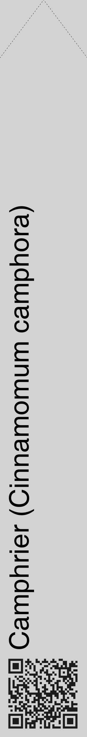 Étiquette de : Cinnamomum camphora - format c - style noire14_simple_simplehel avec qrcode et comestibilité - position verticale