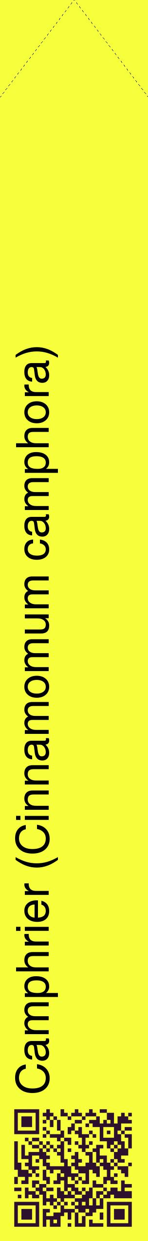 Étiquette de : Cinnamomum camphora - format c - style noire18_simplehel avec qrcode et comestibilité