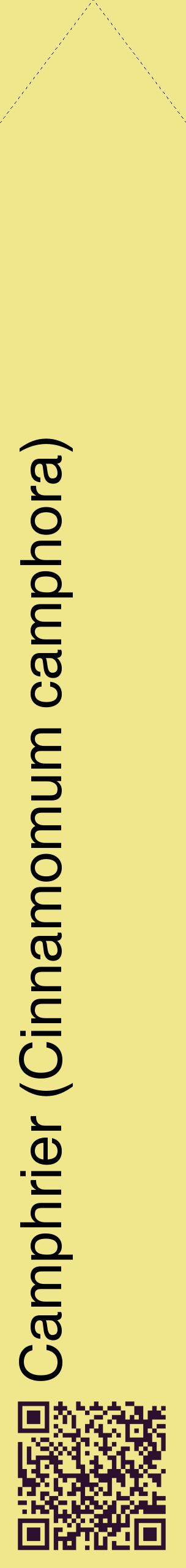 Étiquette de : Cinnamomum camphora - format c - style noire20_simplehel avec qrcode et comestibilité