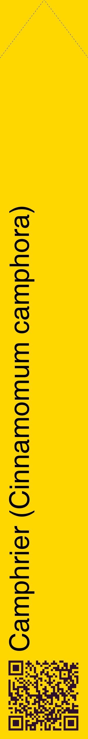Étiquette de : Cinnamomum camphora - format c - style noire21_simplehel avec qrcode et comestibilité