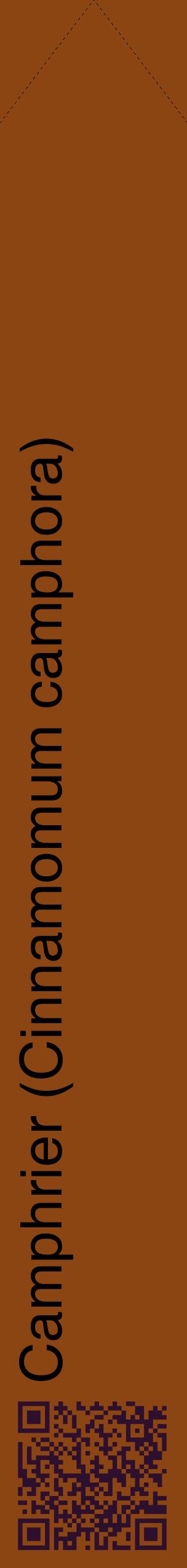 Étiquette de : Cinnamomum camphora - format c - style noire30_simplehel avec qrcode et comestibilité