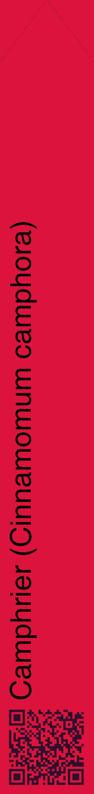 Étiquette de : Cinnamomum camphora - format c - style noire36_simplehel avec qrcode et comestibilité