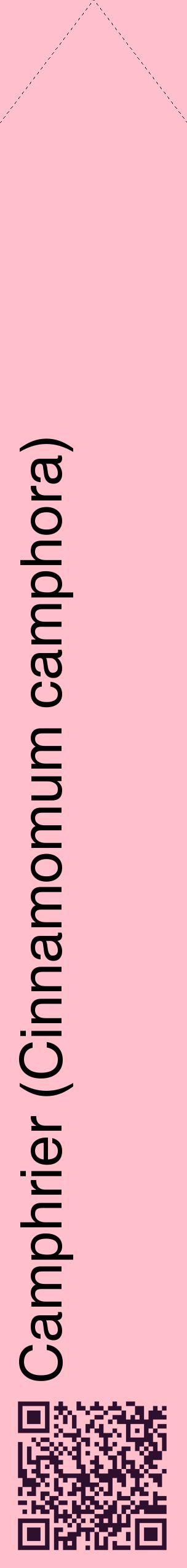Étiquette de : Cinnamomum camphora - format c - style noire40_simplehel avec qrcode et comestibilité
