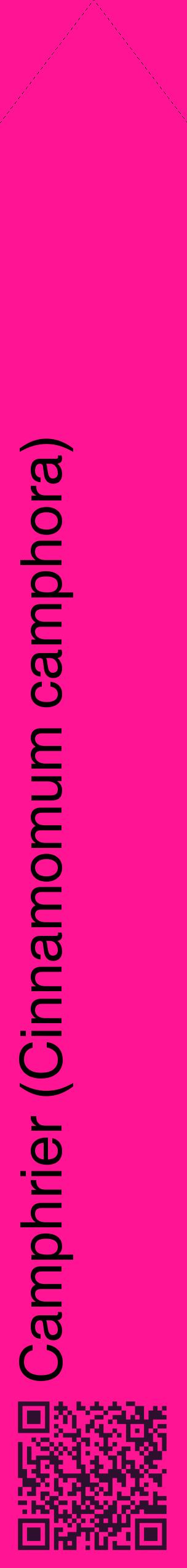 Étiquette de : Cinnamomum camphora - format c - style noire43_simplehel avec qrcode et comestibilité