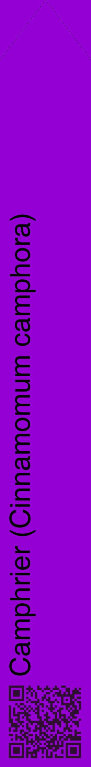 Étiquette de : Cinnamomum camphora - format c - style noire48_simplehel avec qrcode et comestibilité
