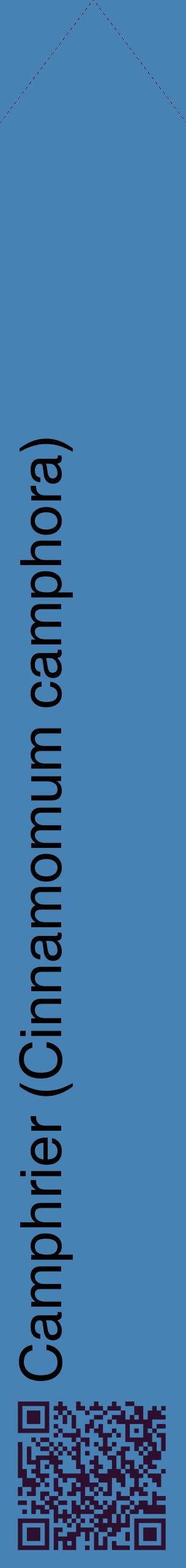 Étiquette de : Cinnamomum camphora - format c - style noire5_simplehel avec qrcode et comestibilité