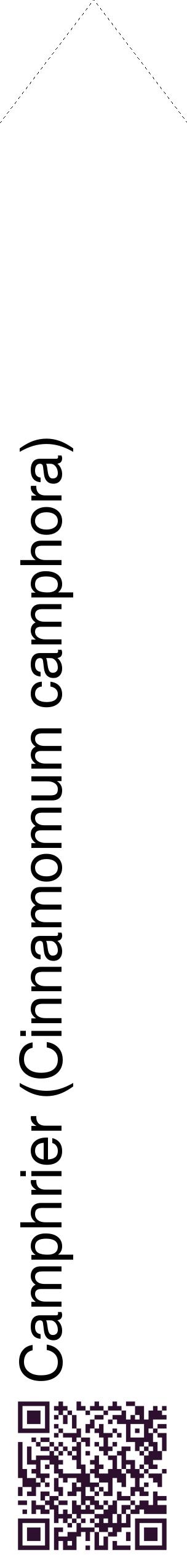 Étiquette de : Cinnamomum camphora - format c - style noire60_simplehel avec qrcode et comestibilité