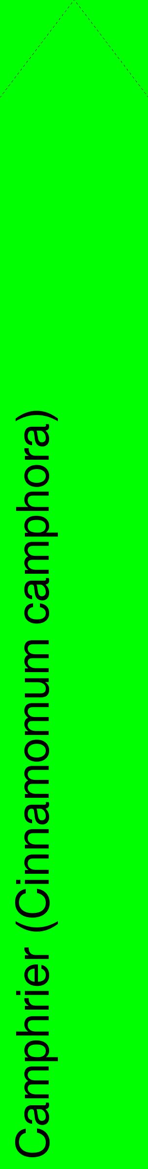 Étiquette de : Cinnamomum camphora - format c - style noire16_simplehel avec comestibilité
