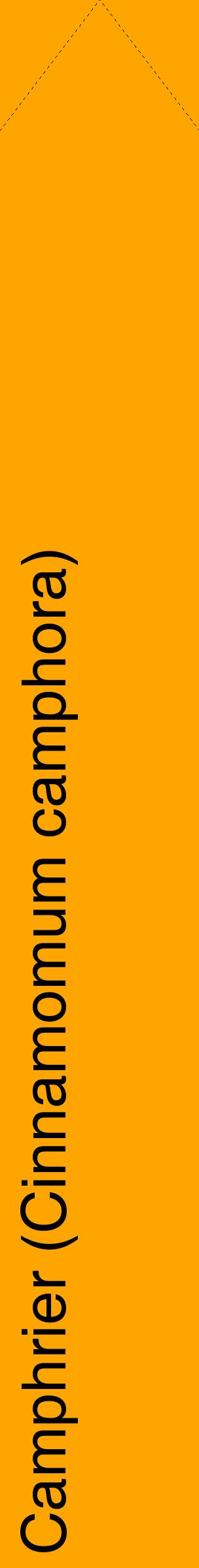 Étiquette de : Cinnamomum camphora - format c - style noire22_simplehel avec comestibilité