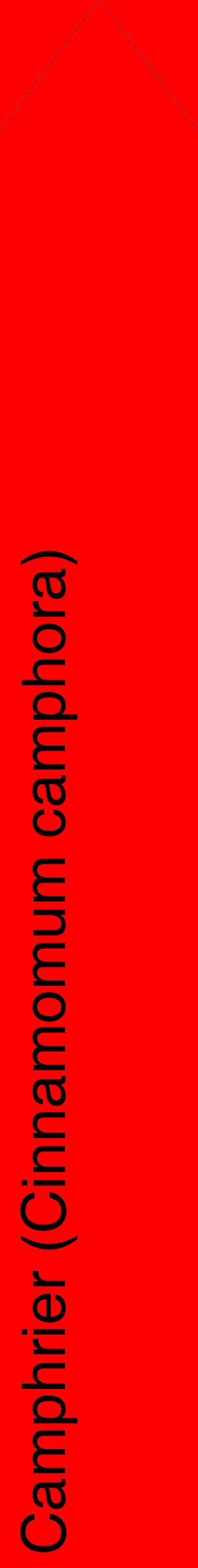 Étiquette de : Cinnamomum camphora - format c - style noire27_simplehel avec comestibilité
