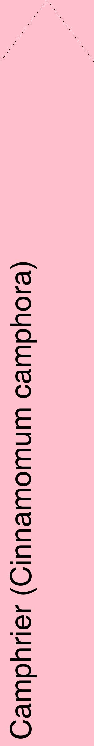 Étiquette de : Cinnamomum camphora - format c - style noire40_simplehel avec comestibilité