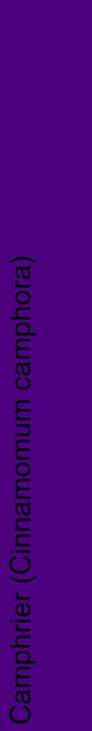 Étiquette de : Cinnamomum camphora - format c - style noire47_simplehel avec comestibilité