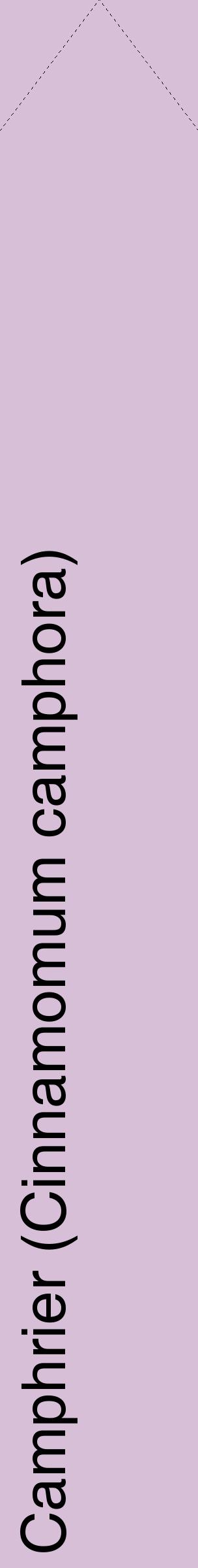 Étiquette de : Cinnamomum camphora - format c - style noire54_simplehel avec comestibilité
