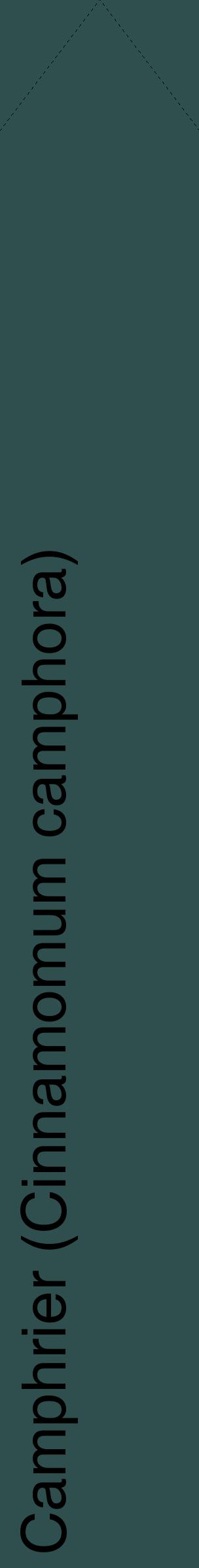 Étiquette de : Cinnamomum camphora - format c - style noire58_simplehel avec comestibilité