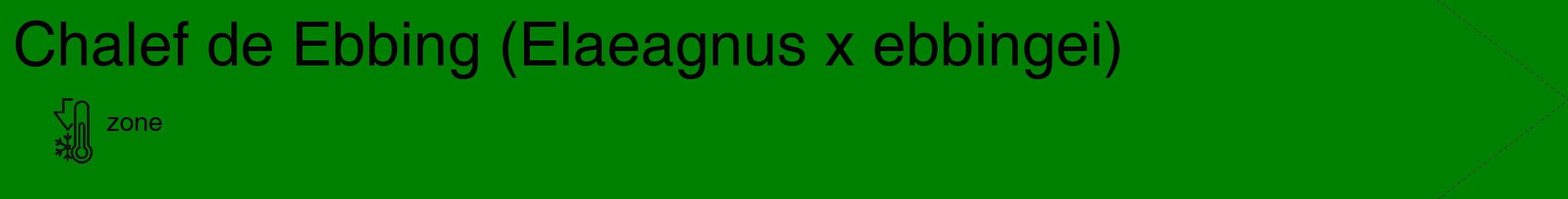 Étiquette de : Elaeagnus x ebbingei - format c - style noire9_simple_simplehel avec comestibilité
