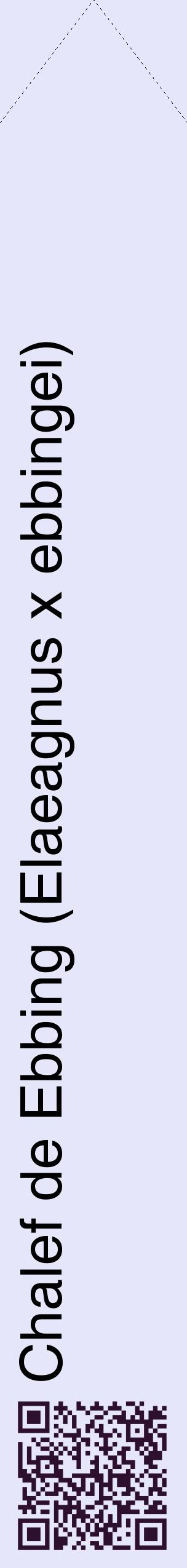 Étiquette de : Elaeagnus x ebbingei - format c - style noire55_simplehel avec qrcode et comestibilité