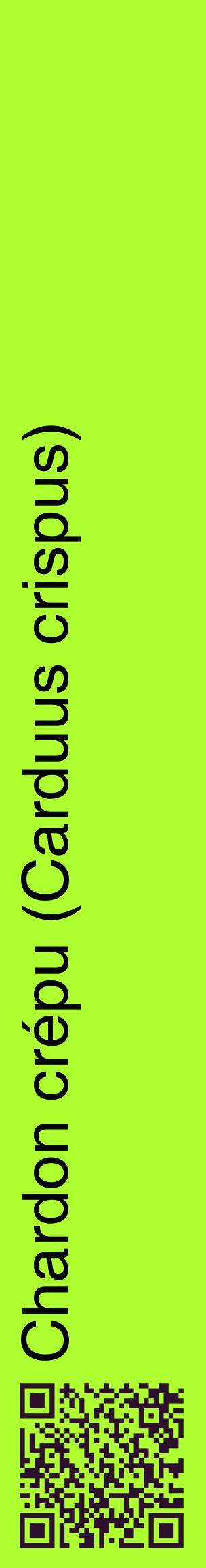 Étiquette de : Carduus crispus - format c - style noire17_basiquehel avec qrcode et comestibilité