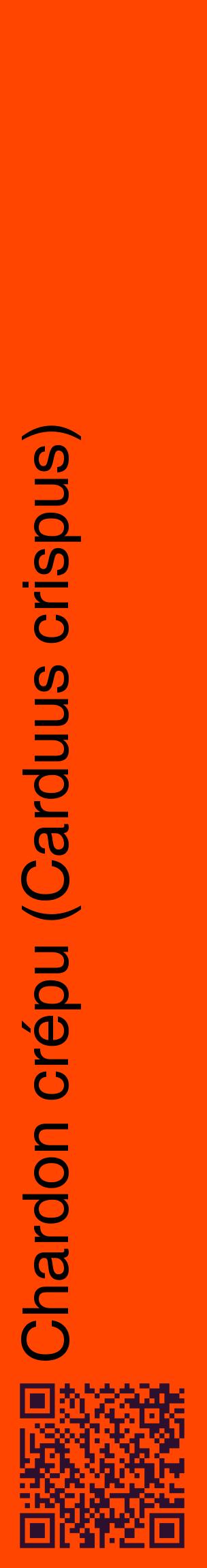 Étiquette de : Carduus crispus - format c - style noire26_basiquehel avec qrcode et comestibilité