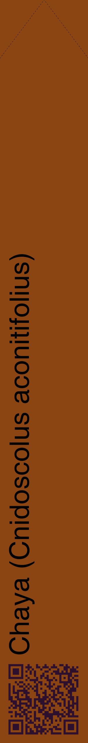 Étiquette de : Cnidoscolus aconitifolius - format c - style noire30_simplehel avec qrcode et comestibilité