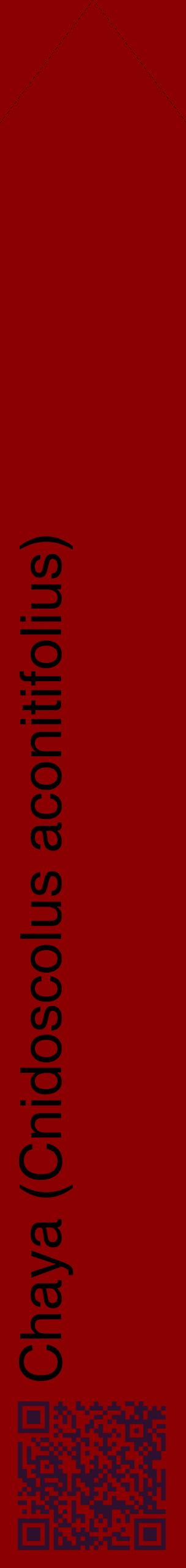 Étiquette de : Cnidoscolus aconitifolius - format c - style noire34_simplehel avec qrcode et comestibilité