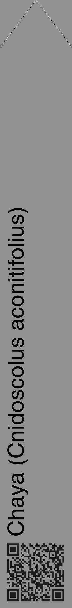 Étiquette de : Cnidoscolus aconitifolius - format c - style noire4_simple_simplehel avec qrcode et comestibilité - position verticale