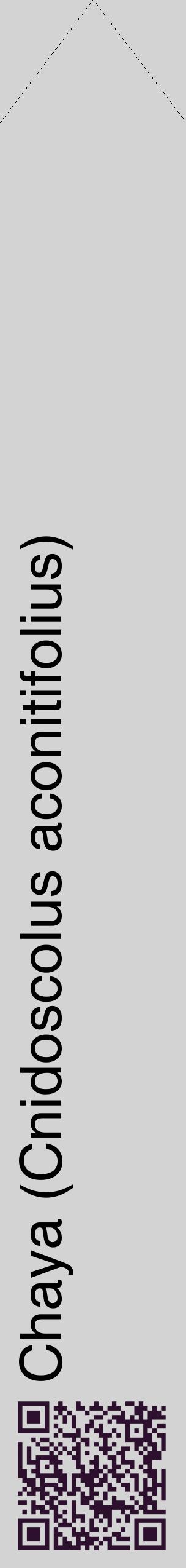 Étiquette de : Cnidoscolus aconitifolius - format c - style noire56_simplehel avec qrcode et comestibilité