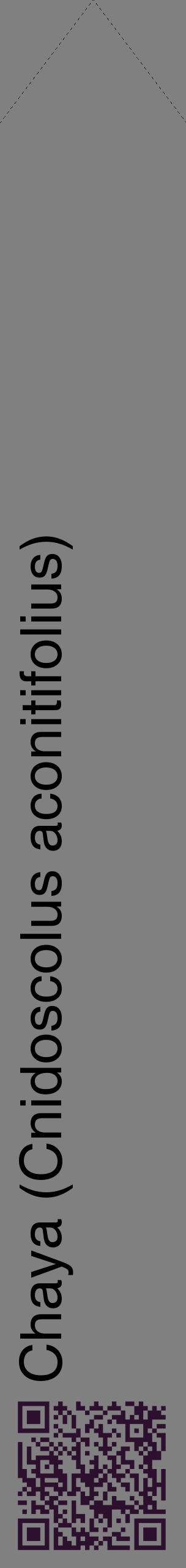 Étiquette de : Cnidoscolus aconitifolius - format c - style noire57_simplehel avec qrcode et comestibilité