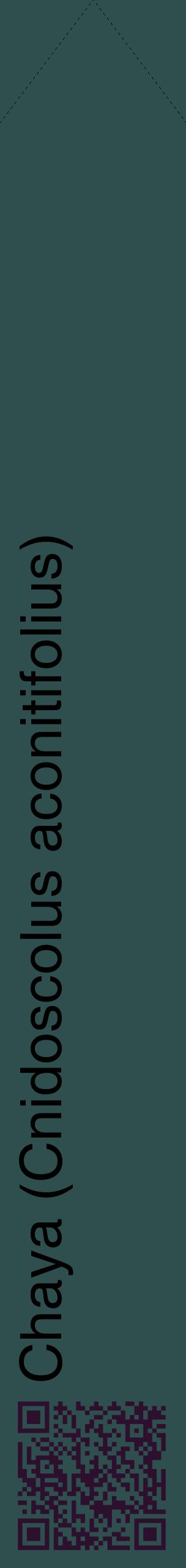 Étiquette de : Cnidoscolus aconitifolius - format c - style noire58_simplehel avec qrcode et comestibilité