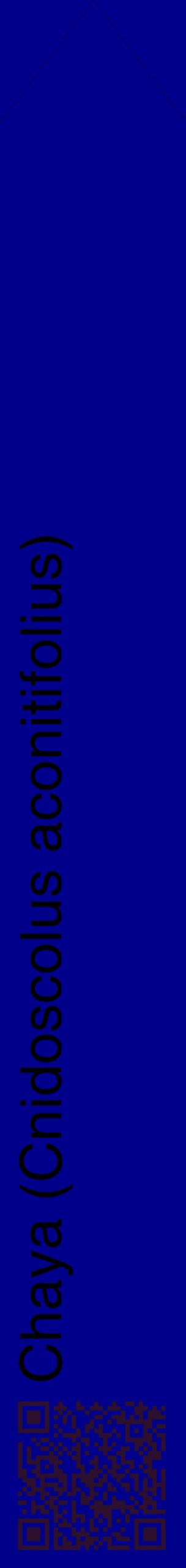 Étiquette de : Cnidoscolus aconitifolius - format c - style noire7_simplehel avec qrcode et comestibilité
