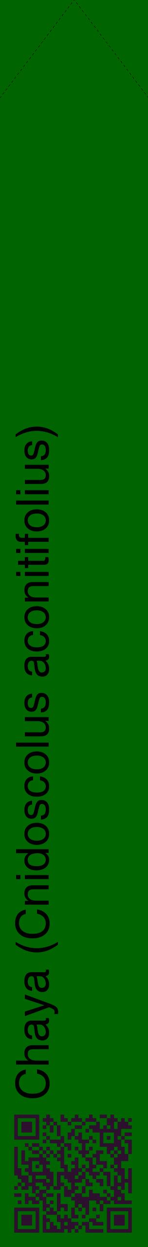 Étiquette de : Cnidoscolus aconitifolius - format c - style noire8_simplehel avec qrcode et comestibilité