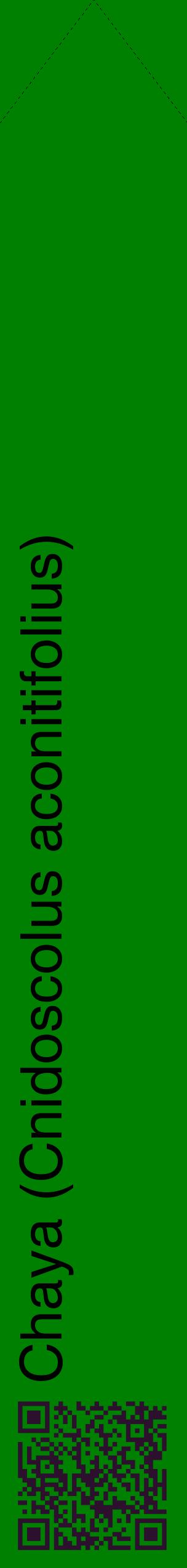 Étiquette de : Cnidoscolus aconitifolius - format c - style noire9_simplehel avec qrcode et comestibilité