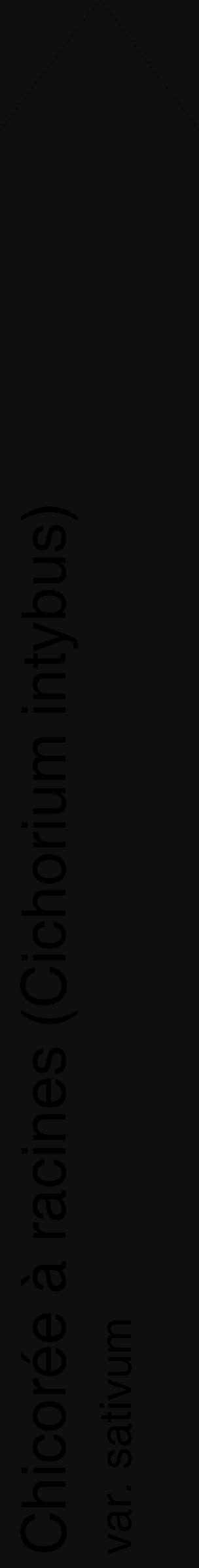 Étiquette de : Cichorium intybus var. sativum - format c - style noire7_simple_simplehel avec comestibilité - position verticale