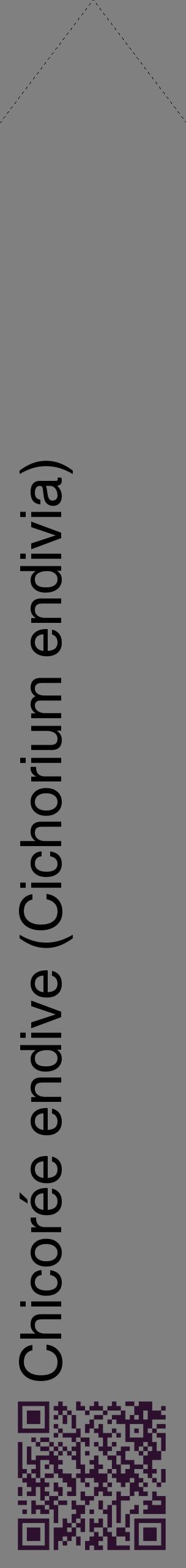 Étiquette de : Cichorium endivia - format c - style noire57_simplehel avec qrcode et comestibilité