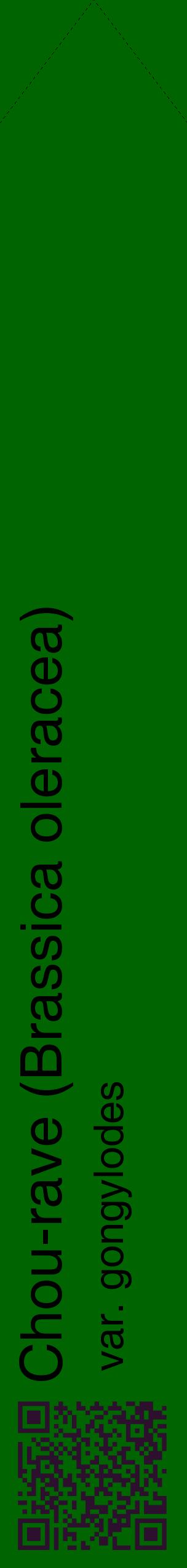 Étiquette de : Brassica oleracea var. gongylodes - format c - style noire8_simplehel avec qrcode et comestibilité