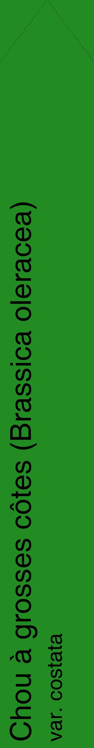Étiquette de : Brassica oleracea var. costata - format c - style noire10_simplehel avec comestibilité