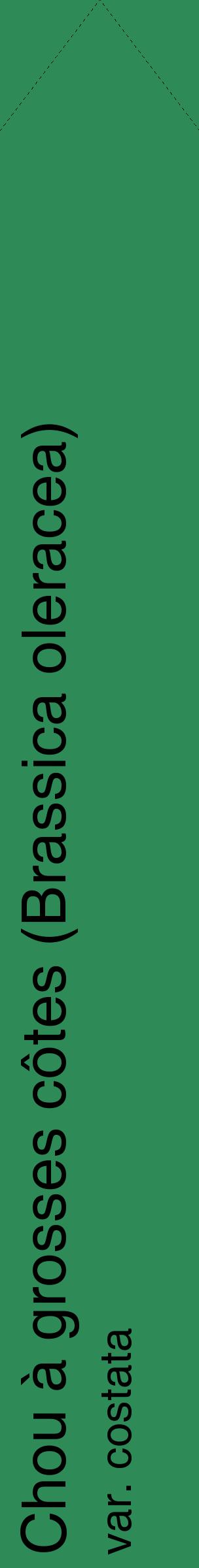 Étiquette de : Brassica oleracea var. costata - format c - style noire11_simplehel avec comestibilité