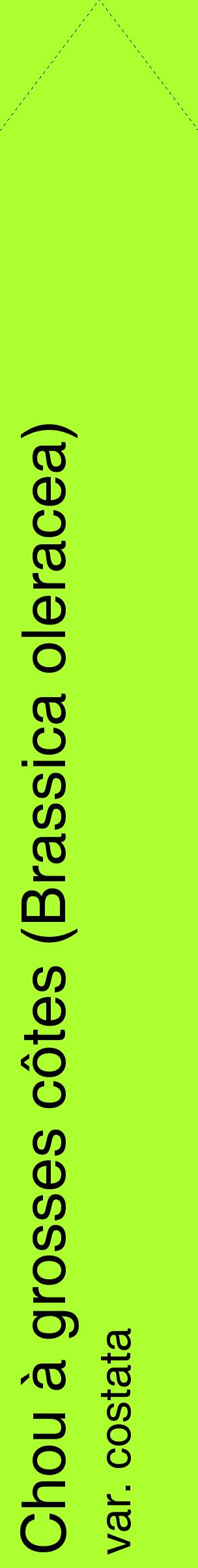 Étiquette de : Brassica oleracea var. costata - format c - style noire17_simplehel avec comestibilité