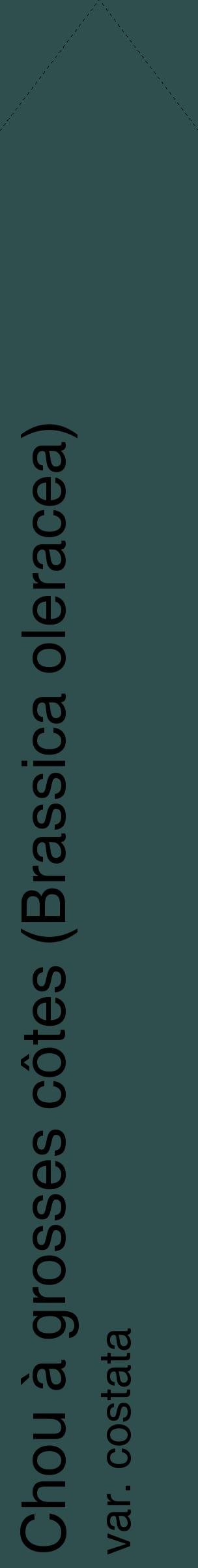 Étiquette de : Brassica oleracea var. costata - format c - style noire58_simplehel avec comestibilité