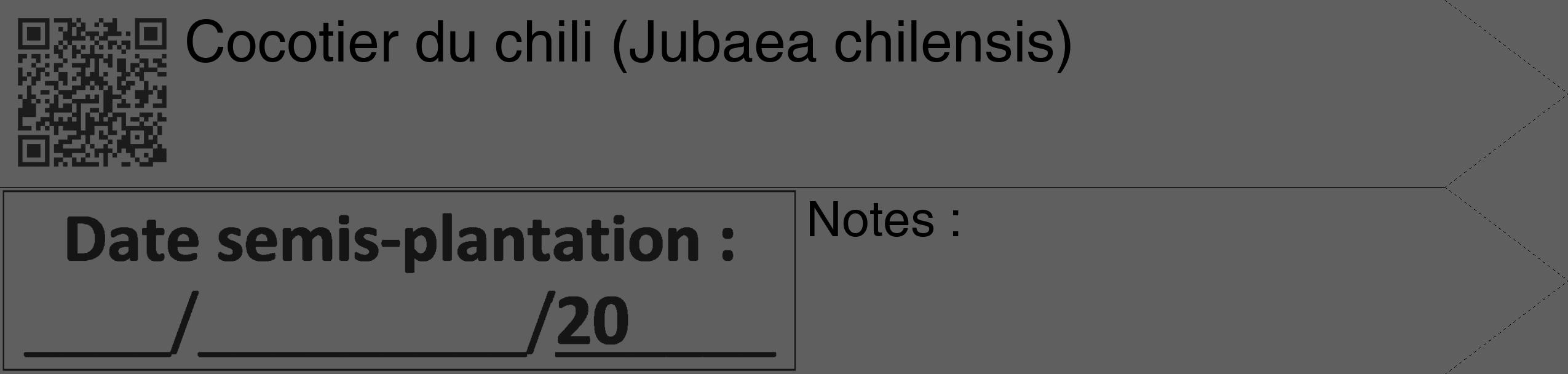 Étiquette de : Jubaea chilensis - format c - style noire10_simple_simplehel avec qrcode et comestibilité