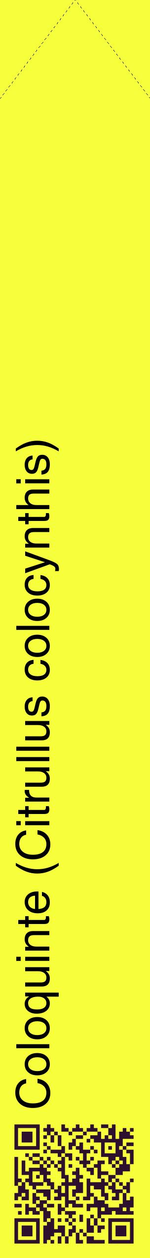 Étiquette de : Citrullus colocynthis - format c - style noire18_simplehel avec qrcode et comestibilité