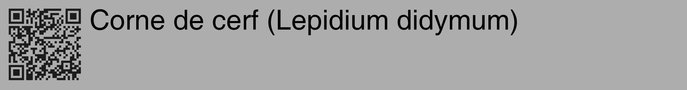 Étiquette de : Lepidium didymum - format c - style noire22_basique_basiquehel avec qrcode et comestibilité