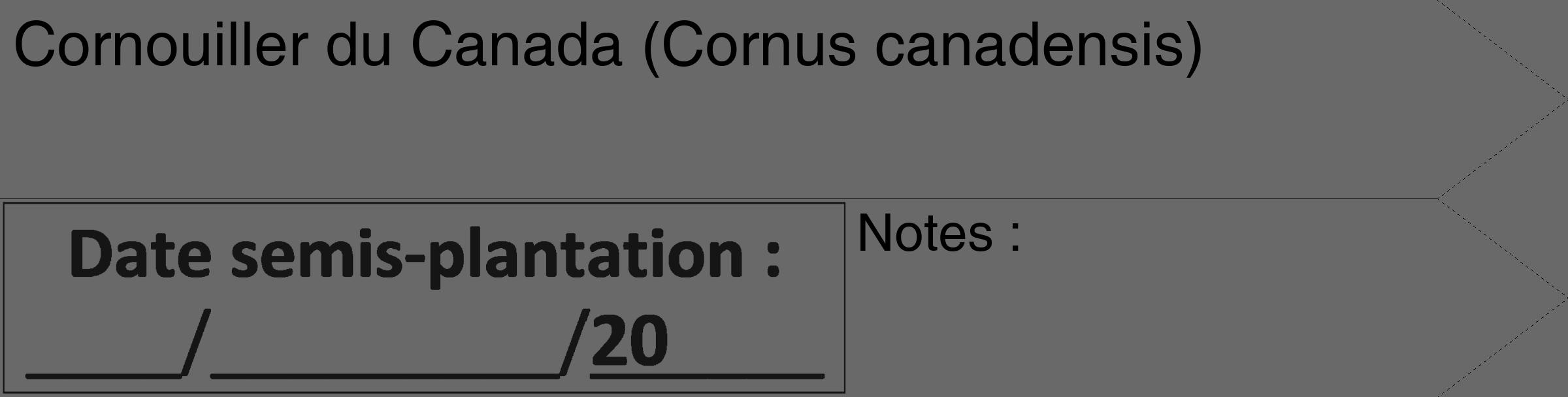 Étiquette de : Cornus canadensis - format c - style noire51_simple_simplehel avec comestibilité