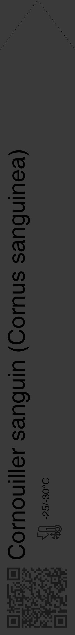 Étiquette de : Cornus sanguinea - format c - style noire8_simple_simplehel avec qrcode et comestibilité - position verticale