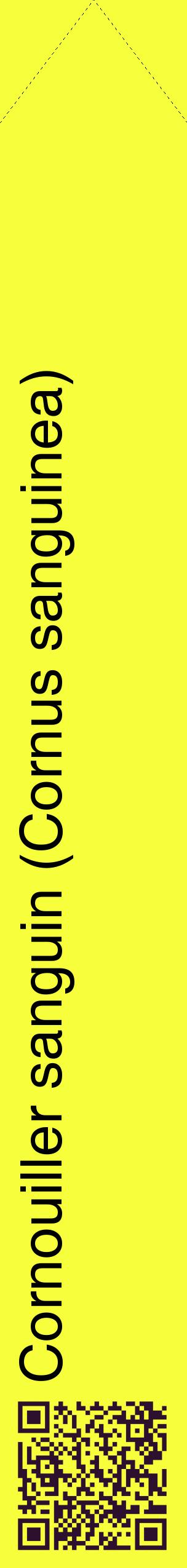 Étiquette de : Cornus sanguinea - format c - style noire18_simplehel avec qrcode et comestibilité