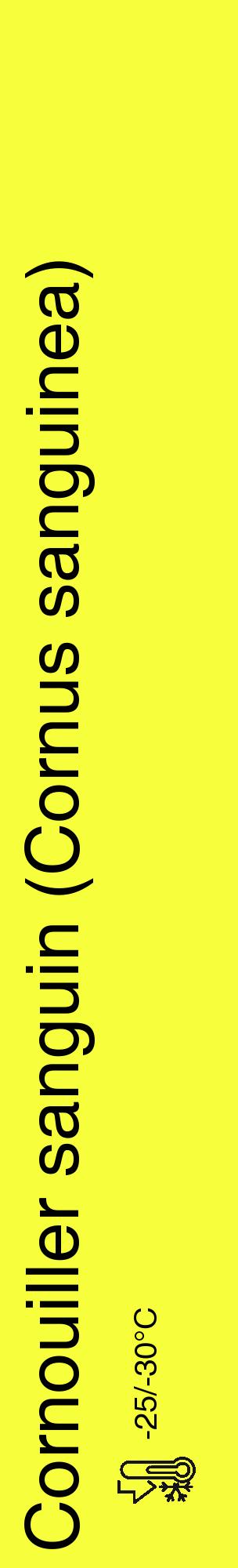 Étiquette de : Cornus sanguinea - format c - style noire18_basique_basiquehel avec comestibilité - position verticale