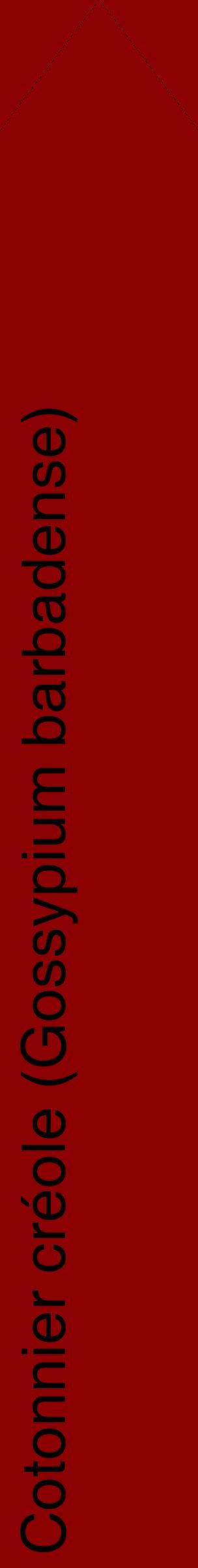 Étiquette de : Gossypium barbadense - format c - style noire34_simplehel avec comestibilité