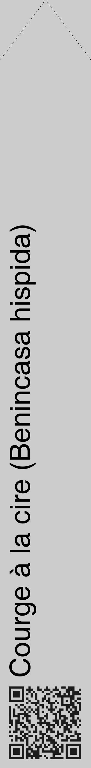 Étiquette de : Benincasa hispida - format c - style noire0_simple_simplehel avec qrcode et comestibilité - position verticale